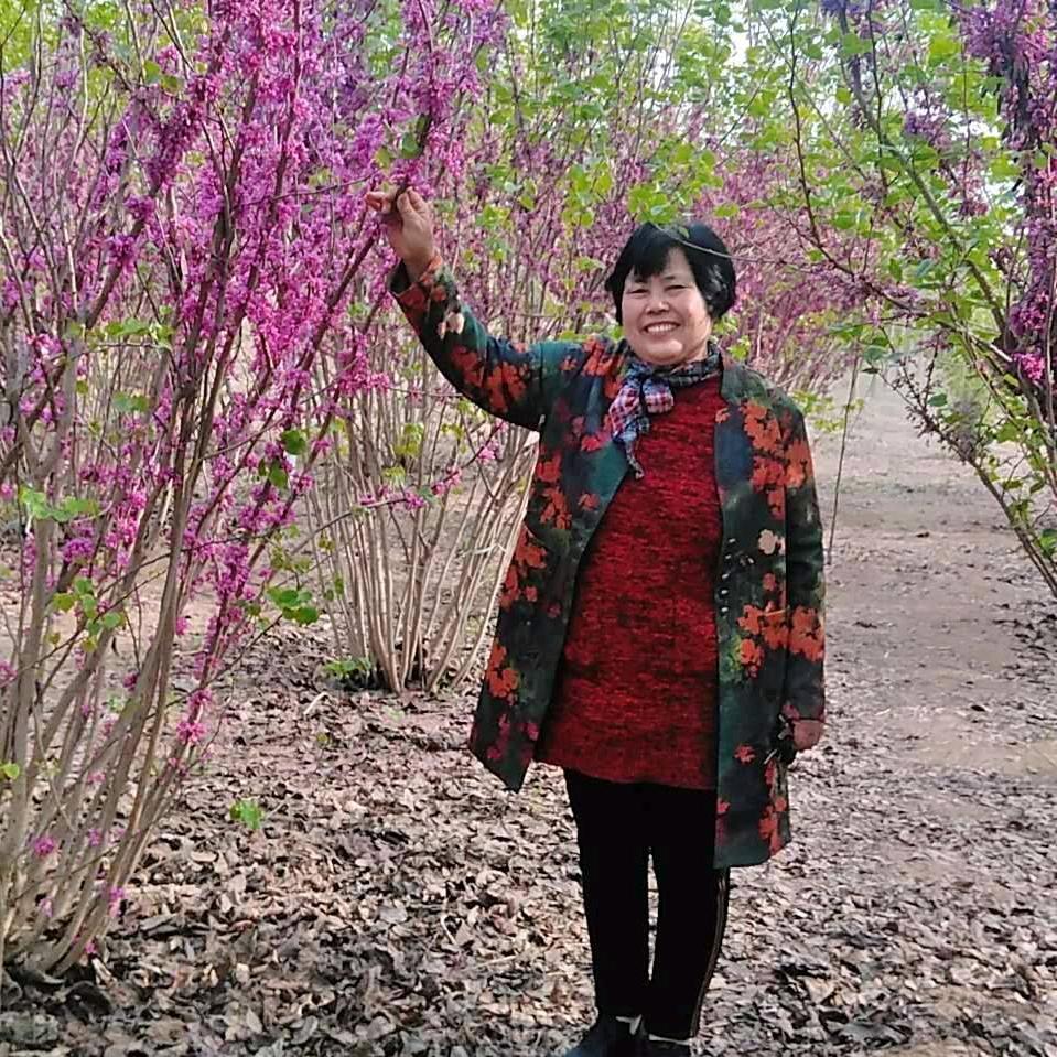老有所乐