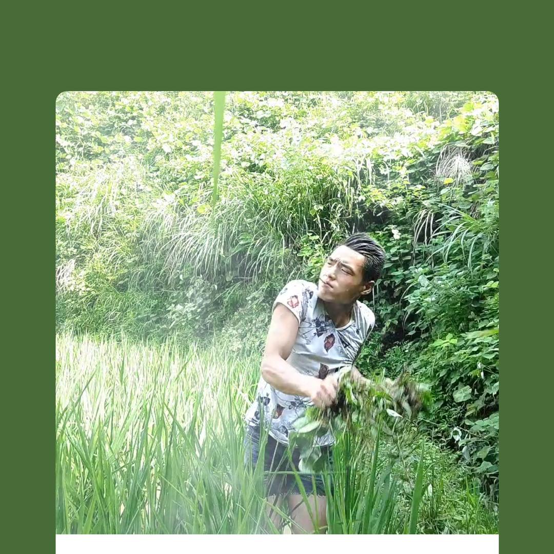 一亩三分地