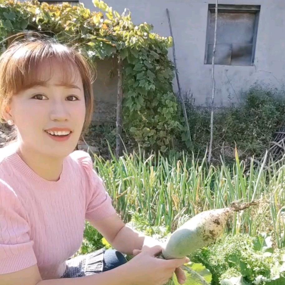 温暖的淇淇
