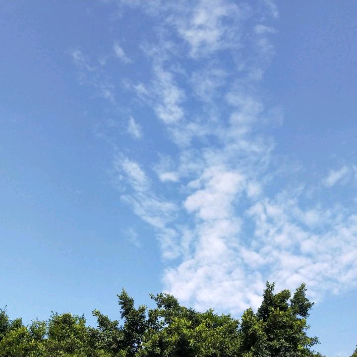 自由自在