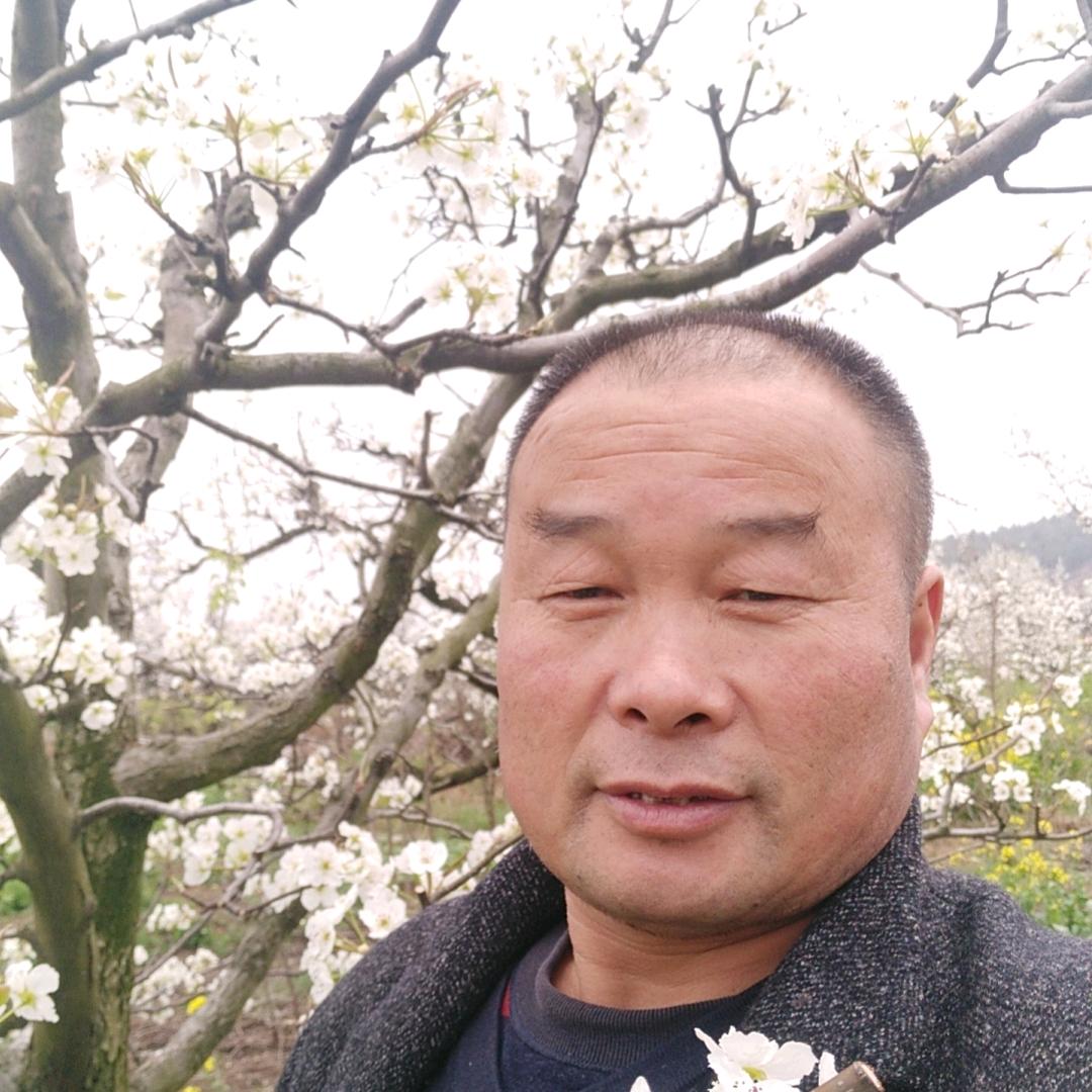 康店跃