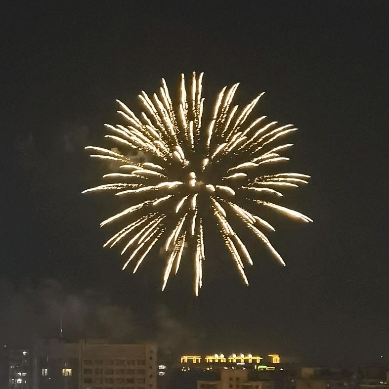 就是顽