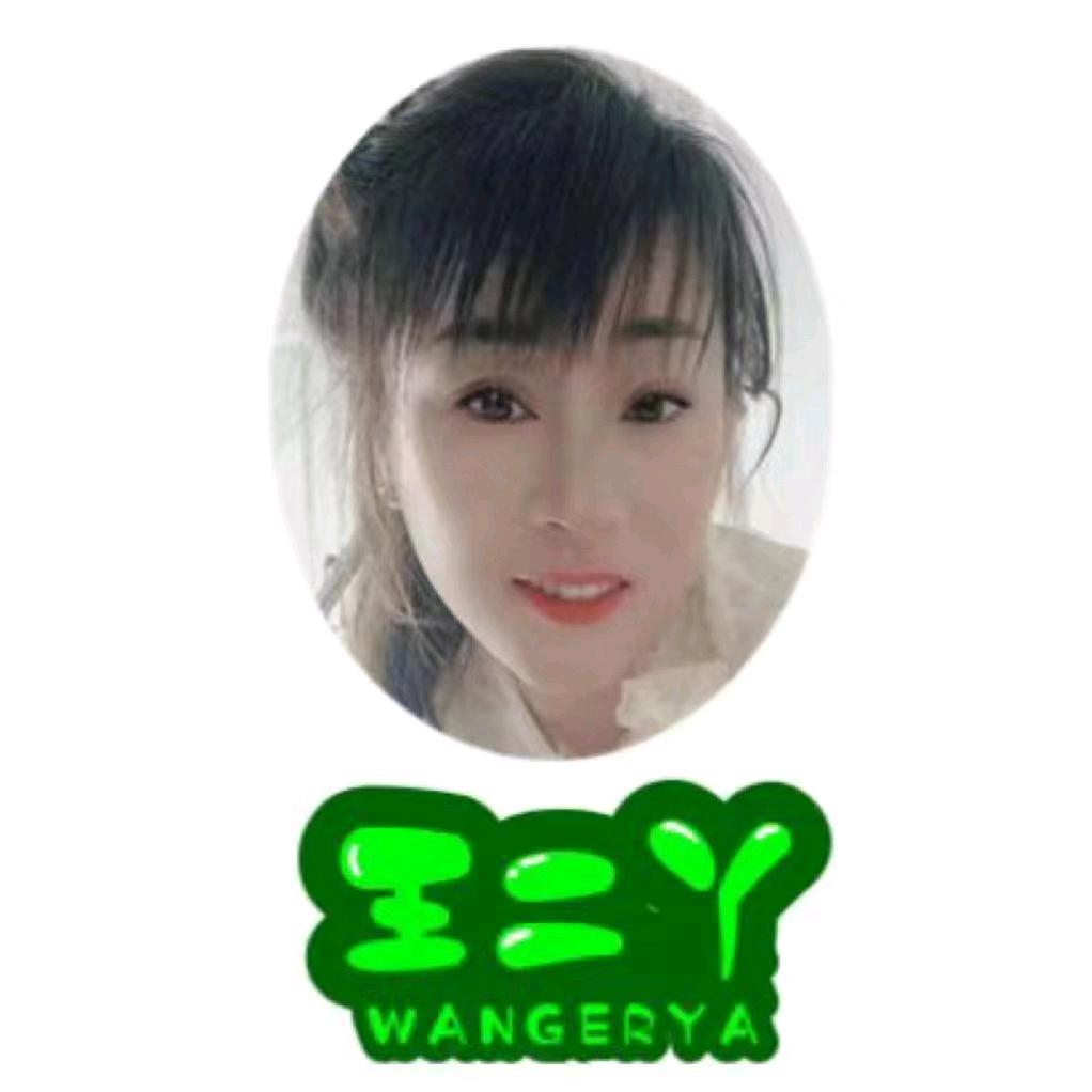 王二丫东北特产店