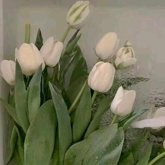 🌻forever❄️