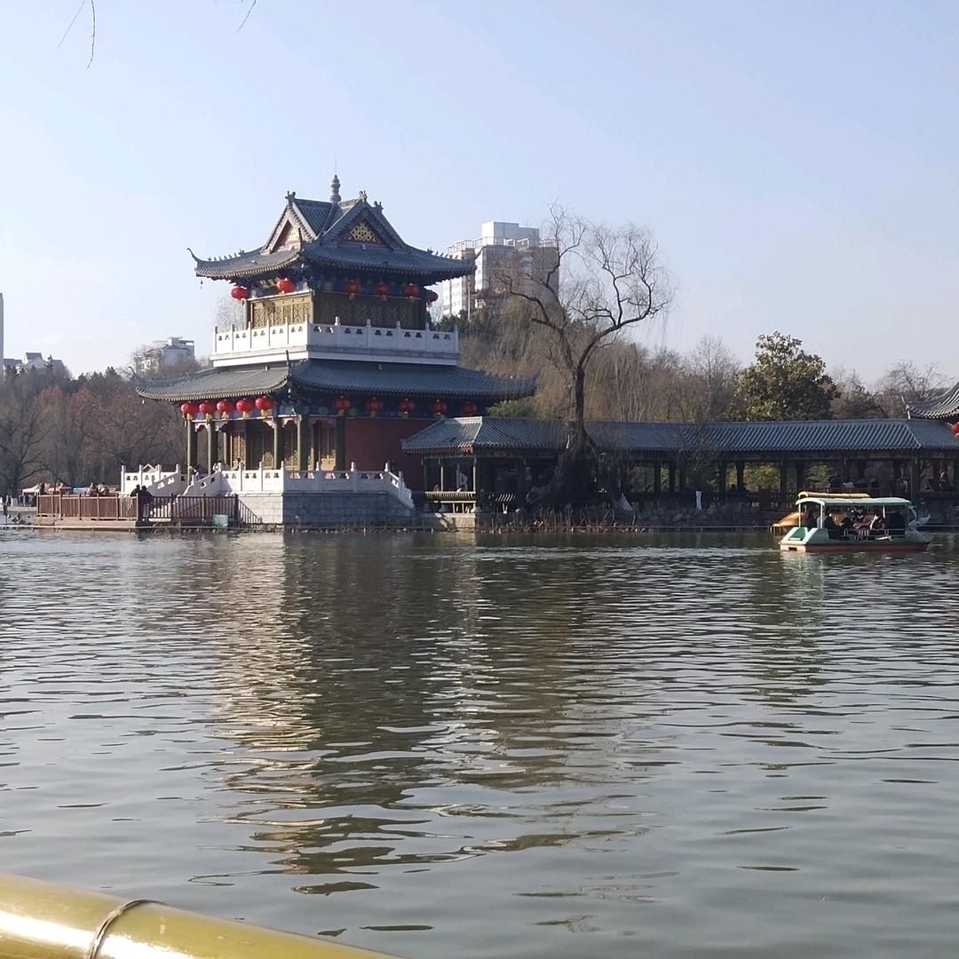 黑豆
