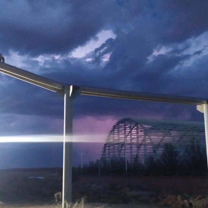 一只吃肉的狐狸