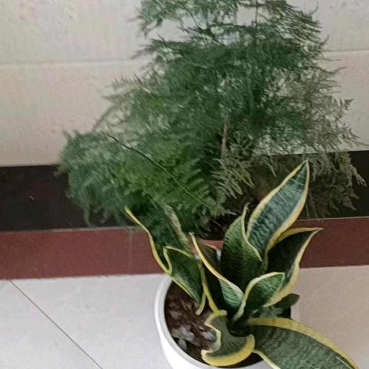 雨过天晴