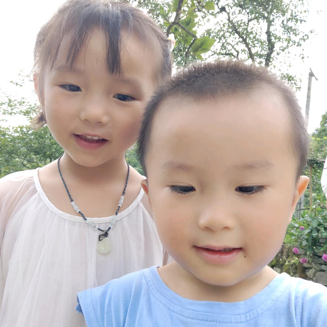 美丽的家园