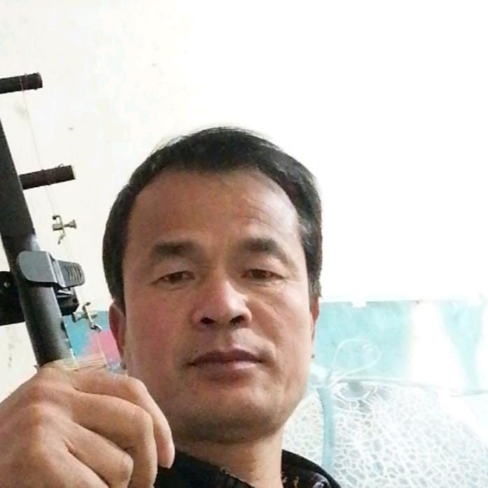 杨柳树