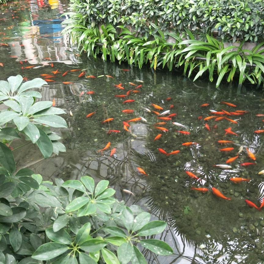 展暖优选