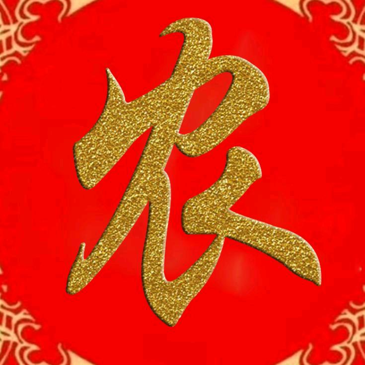 回忆总是伤