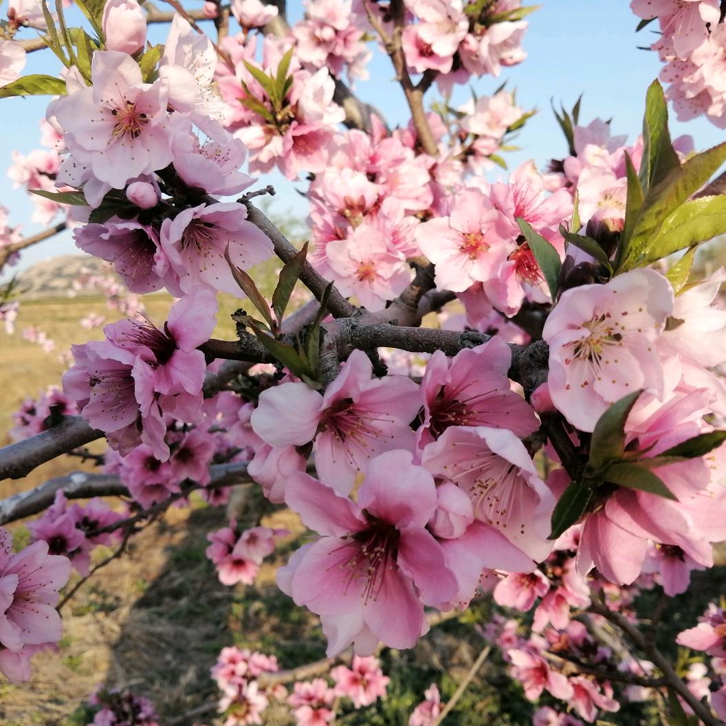 恰好是你(*^ω^*)