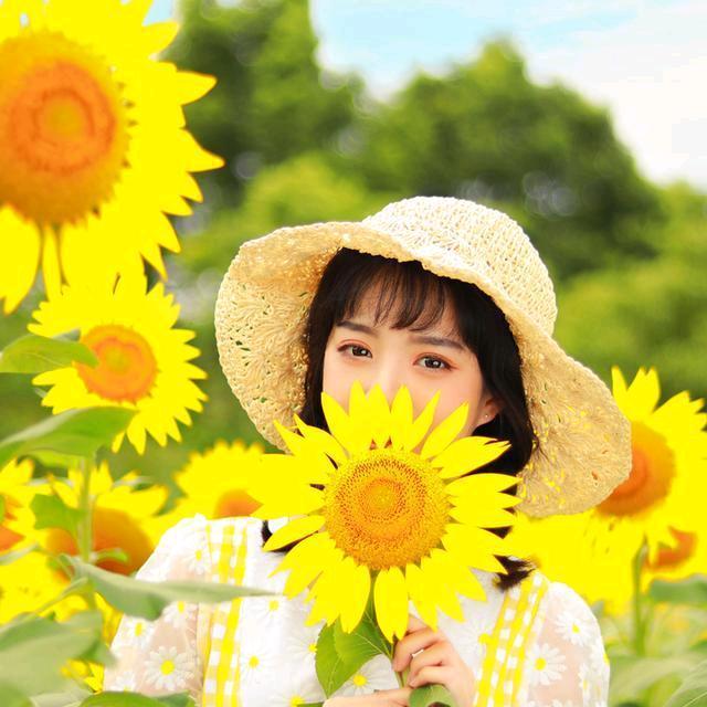 芮宝K剧