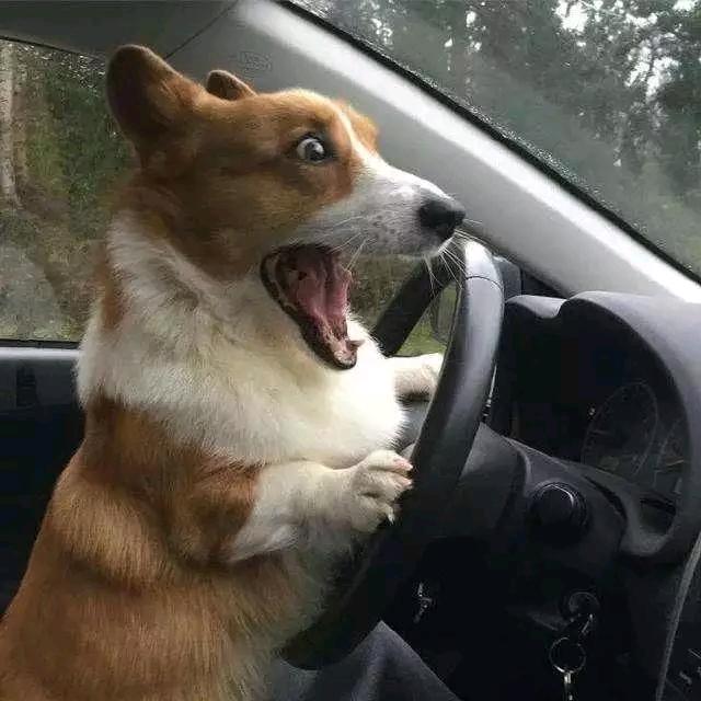 咚咚咚🤗
