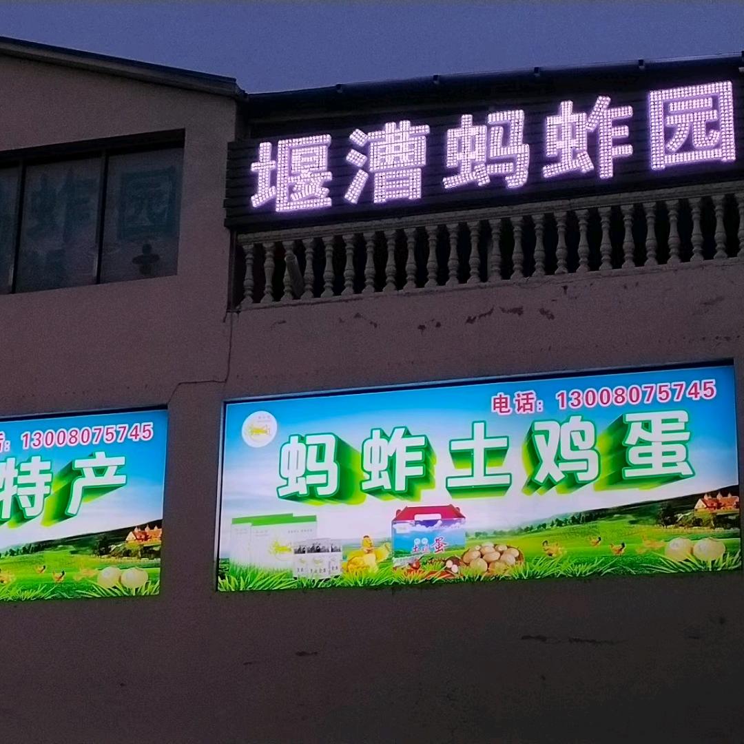 堰漕蚂蚱园，第9年