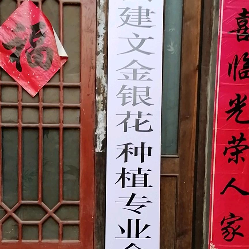 王建文