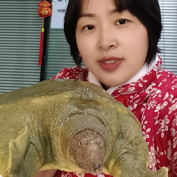 惠娟卖甲鱼