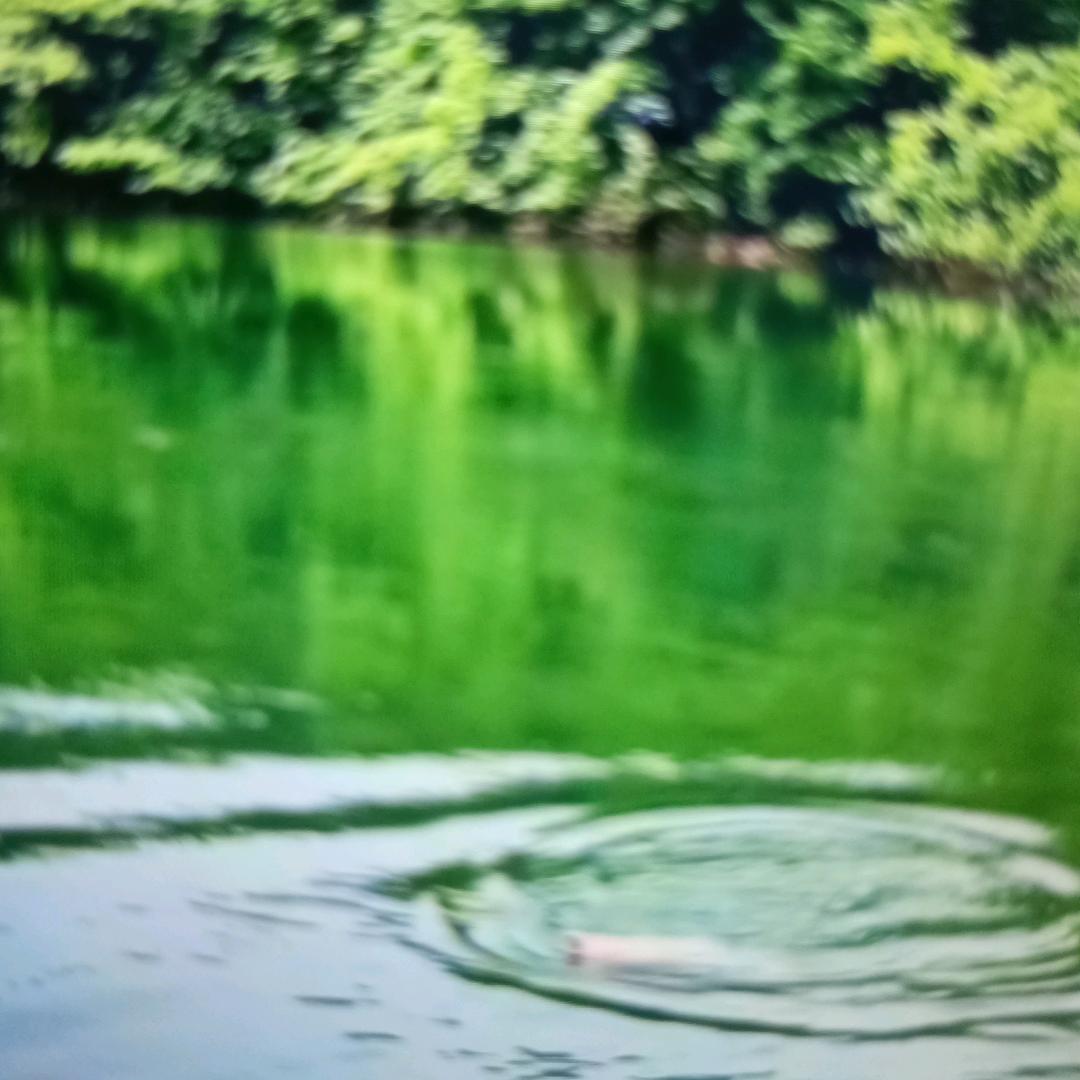 《顺其自然》