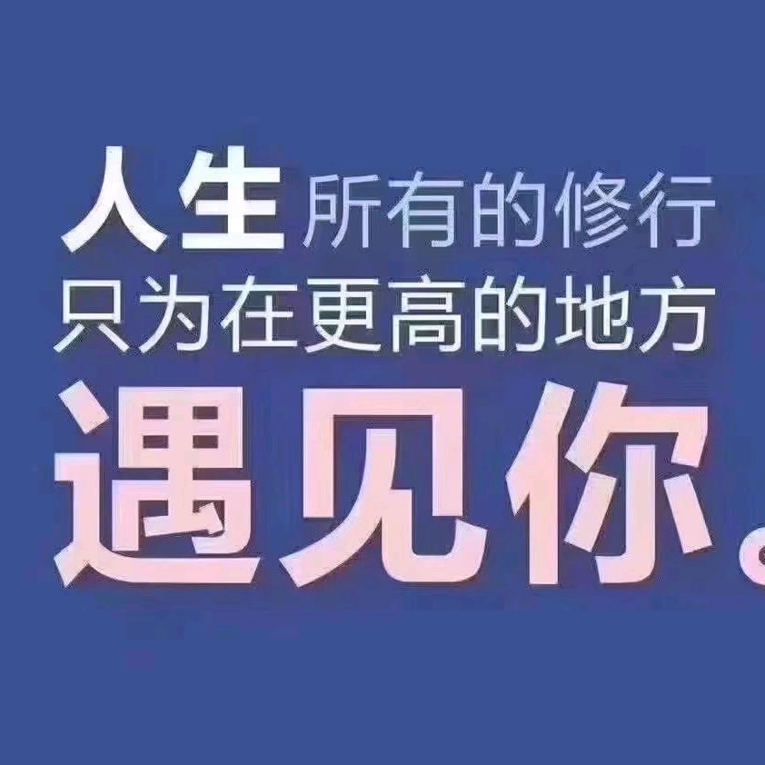 抚月慰緣