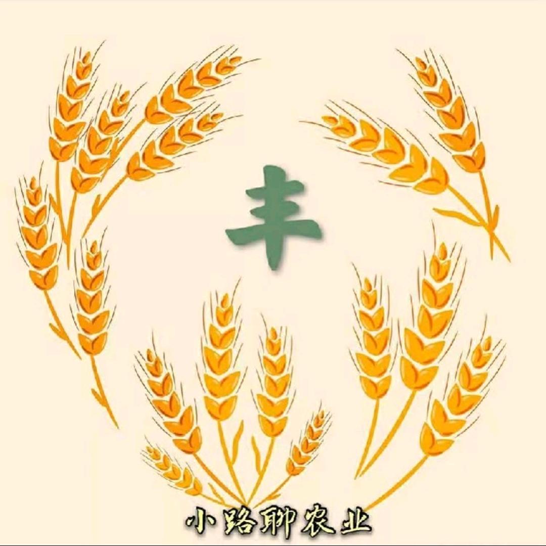 亿亩丰田(小路农业)