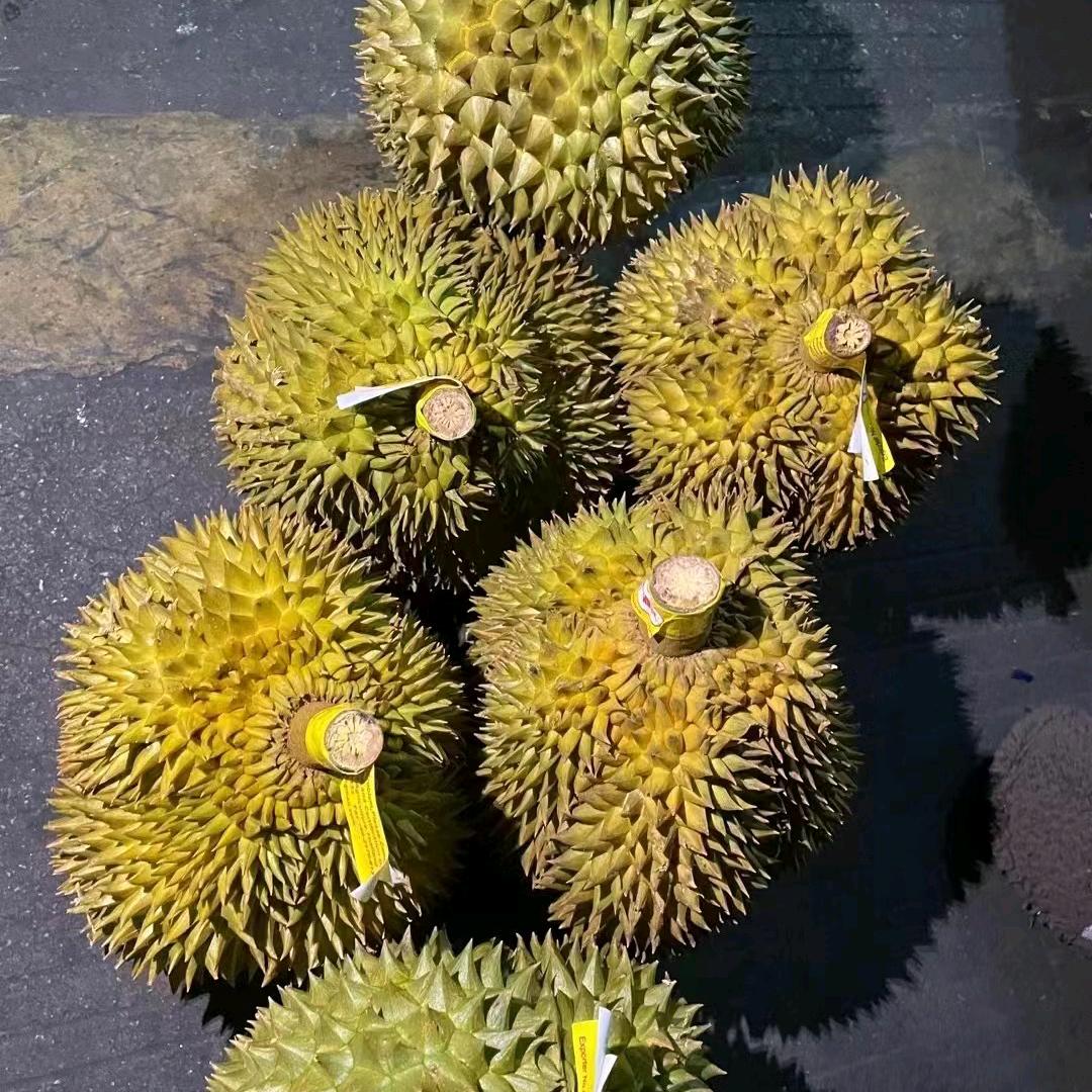 桃大哥