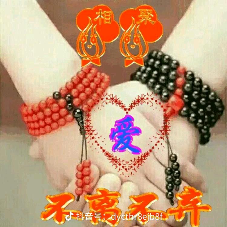 兰兰.