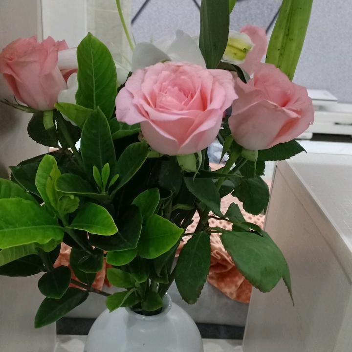 用户294178518151