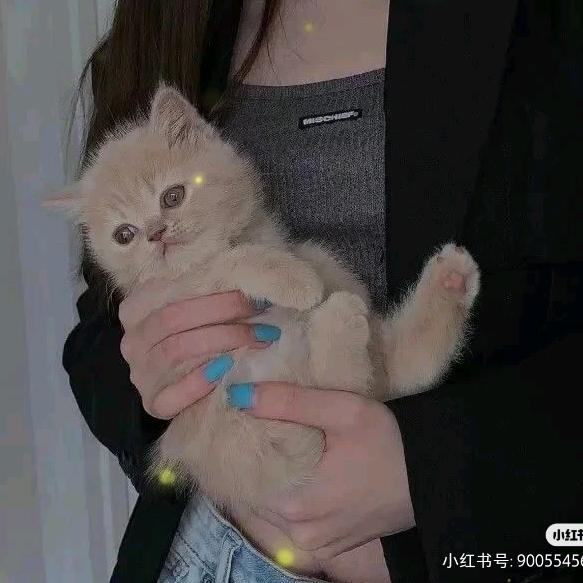 今天卷刘海了吗