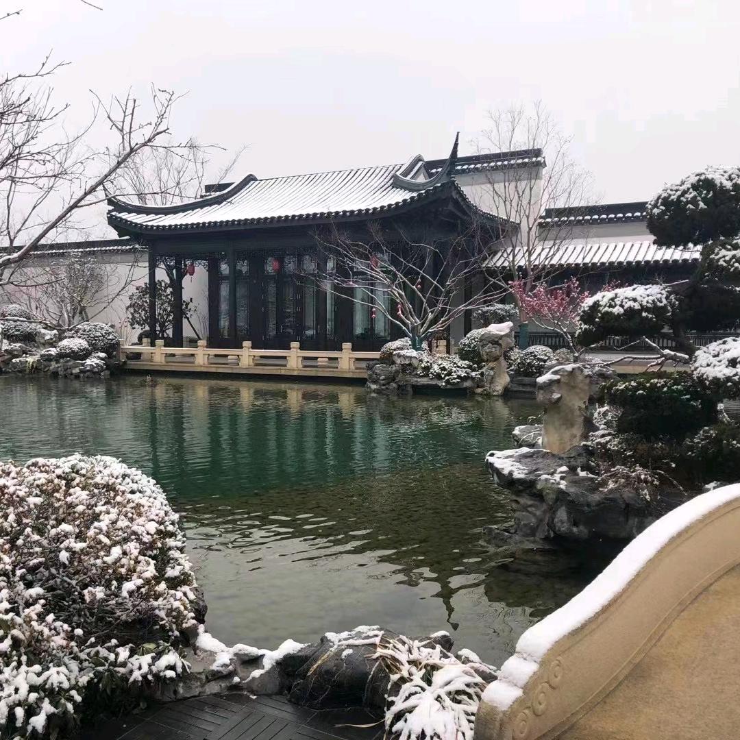 大道无道