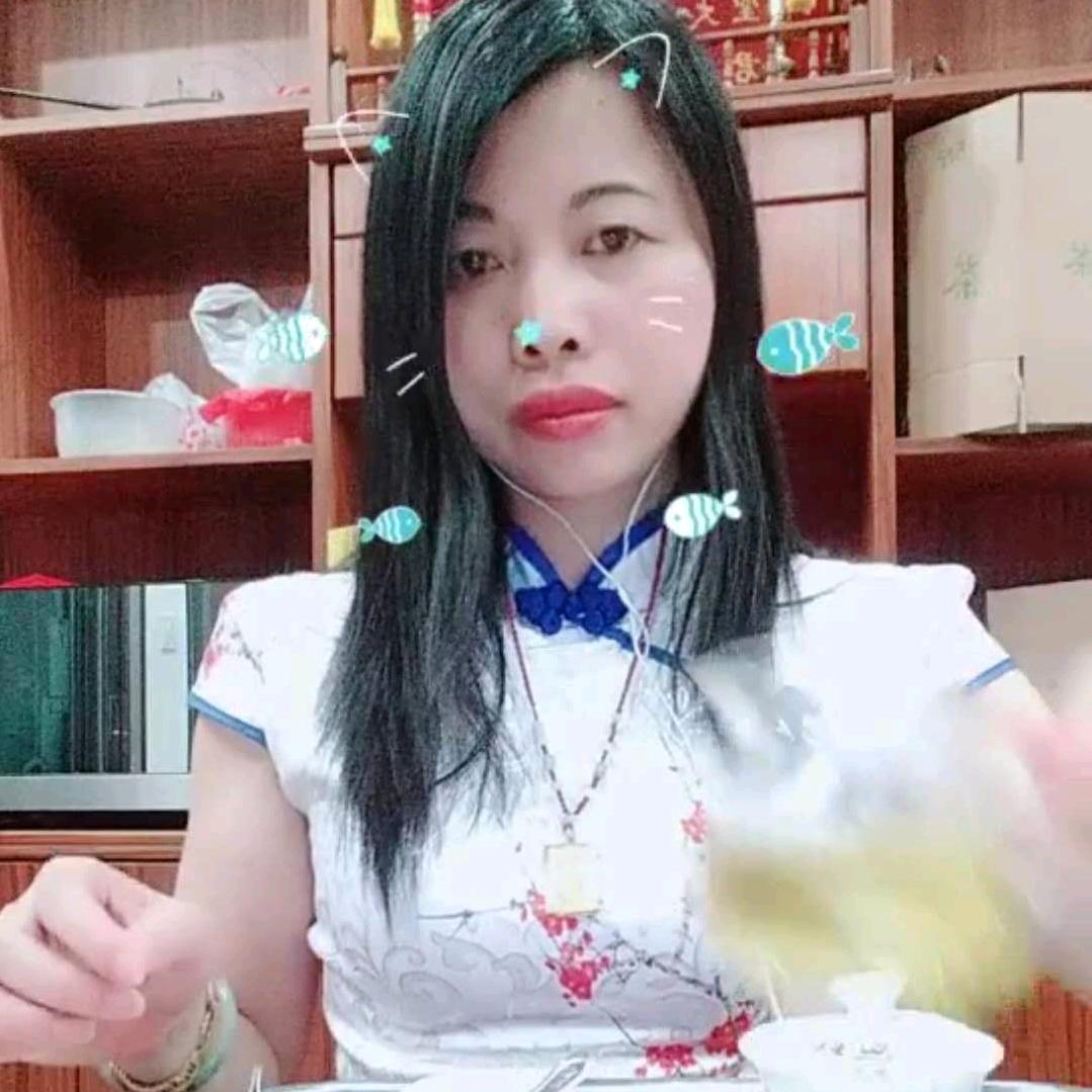 a茶之韵