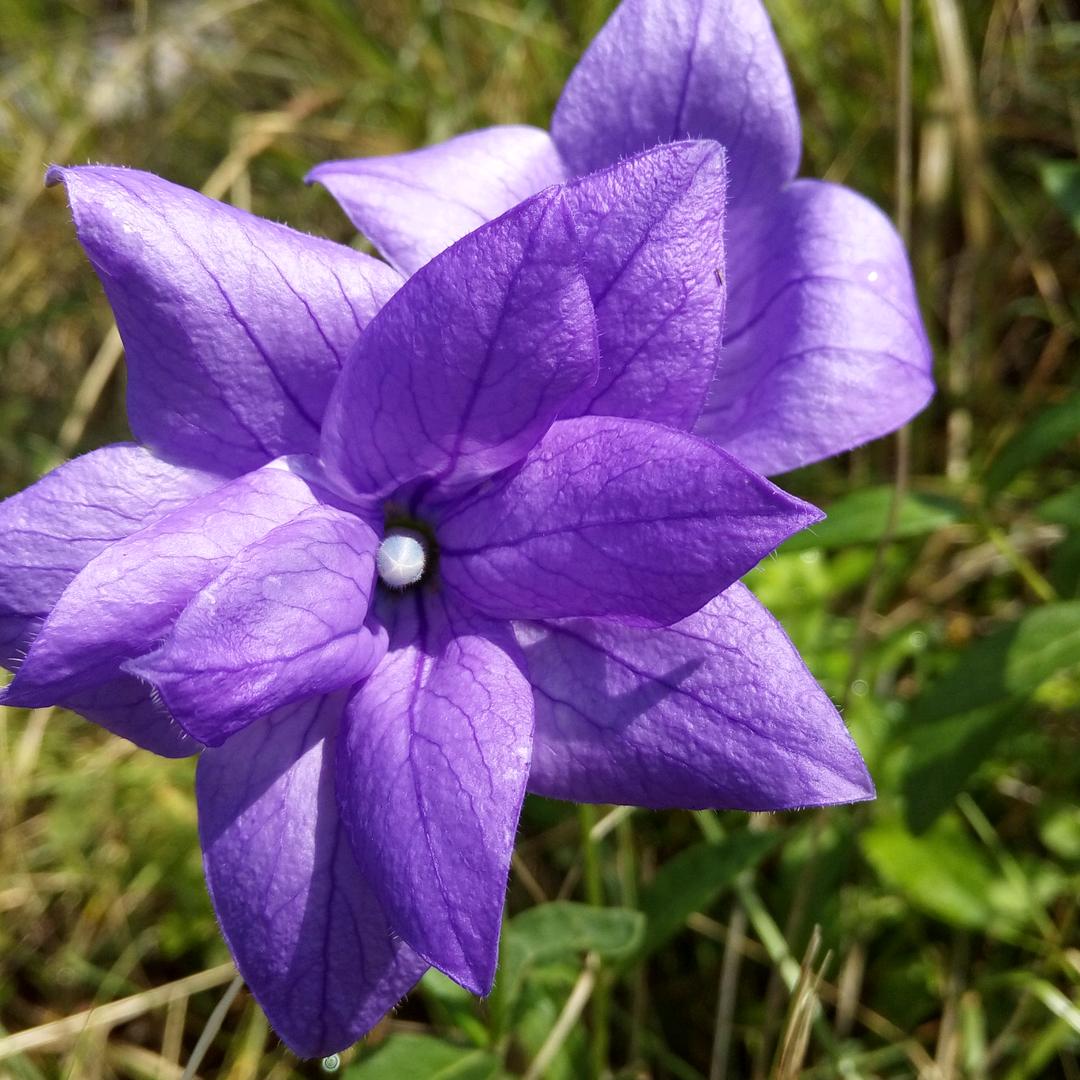 用户9341800691996三月