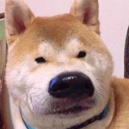 低价货主的克星🚚