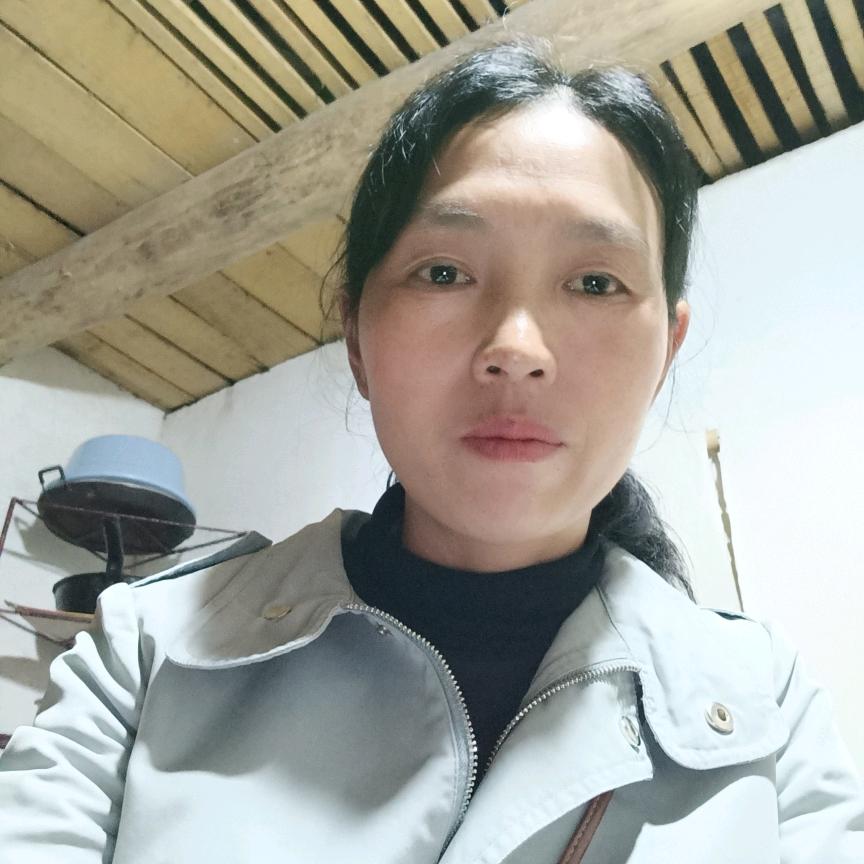 迷糊的小兔
