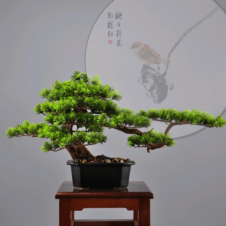 老任盆景