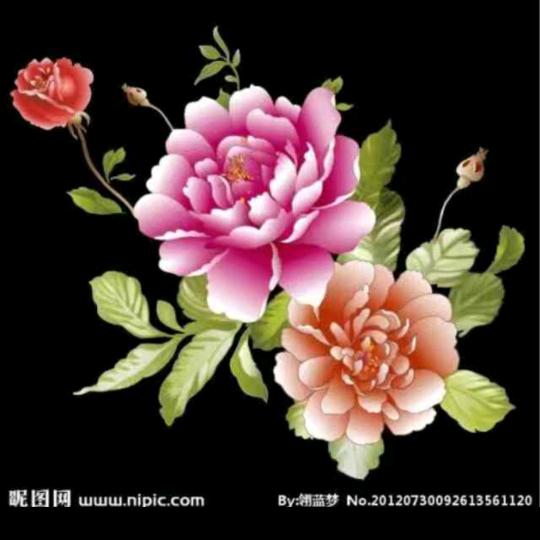 紫色阳光