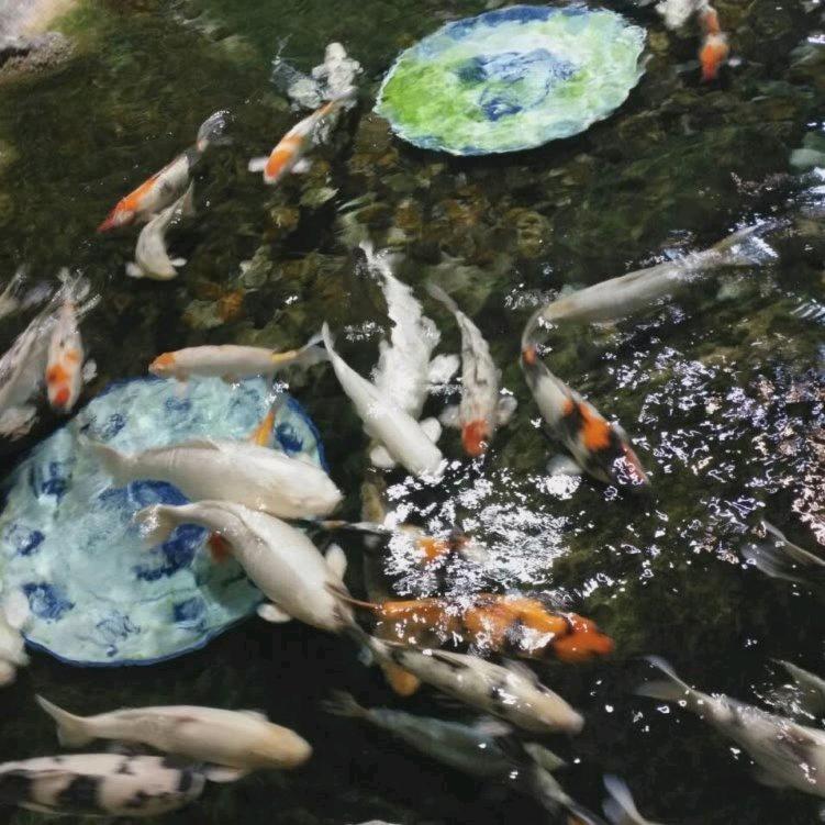阳光远航