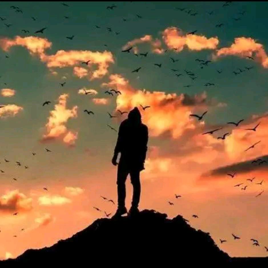 雲胡不喜