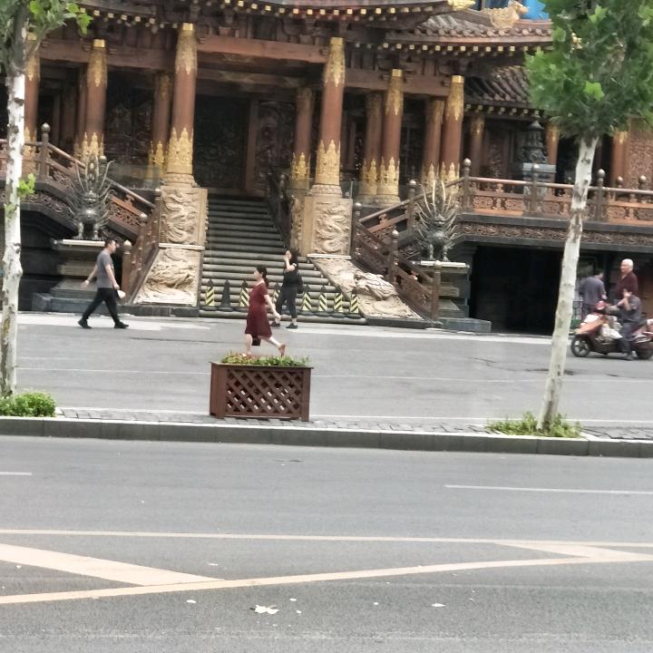 思念的世界