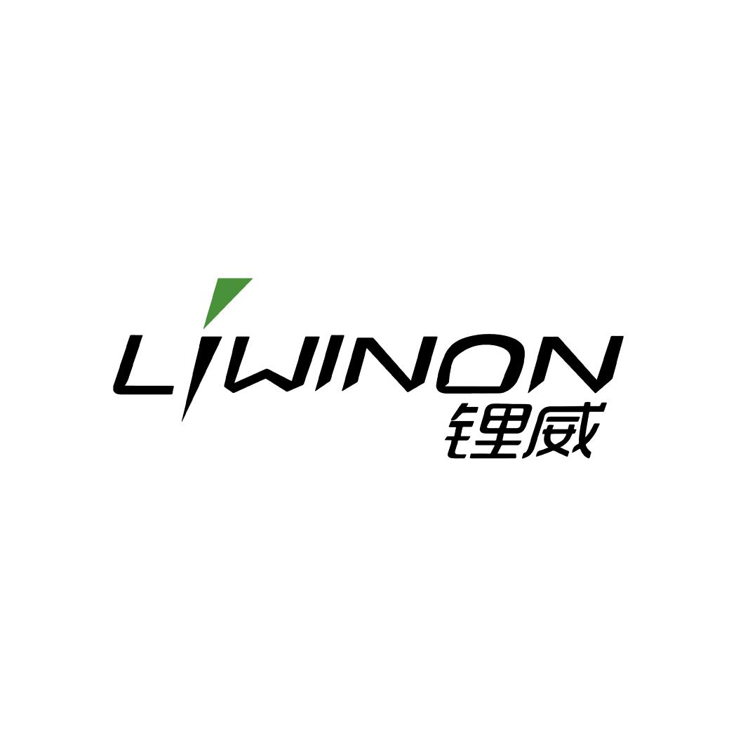 惠州锂威新能源