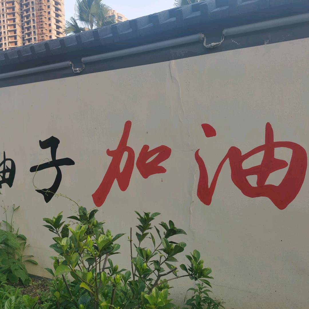 谁也不是谁的谁加油加油
