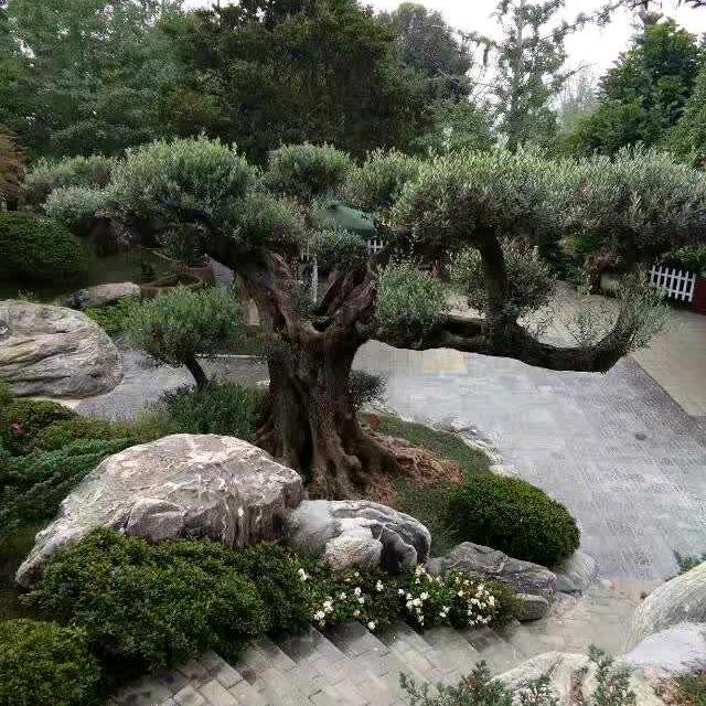 余老头