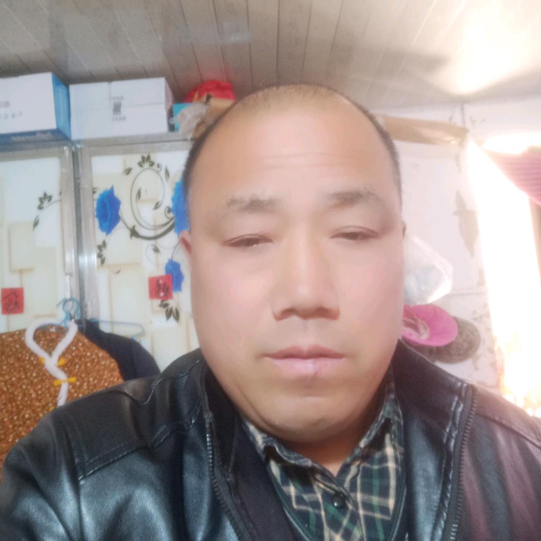 杨四好物