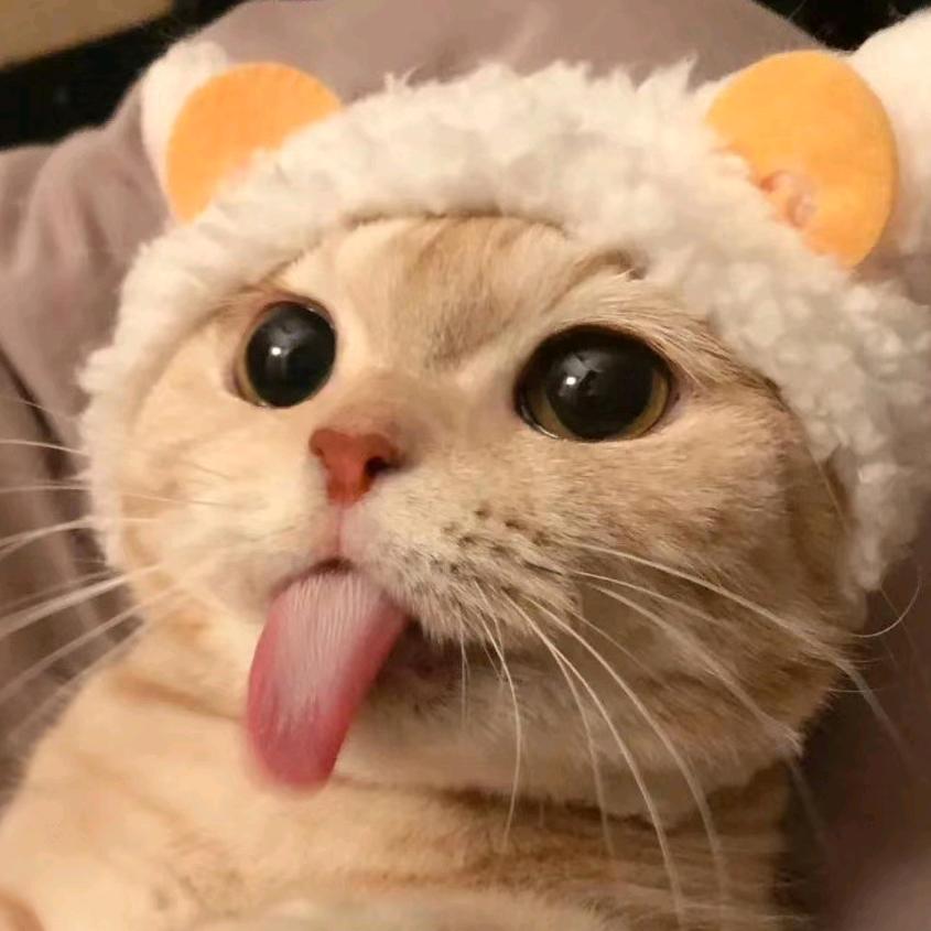 我就是一只猪