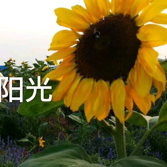 立天