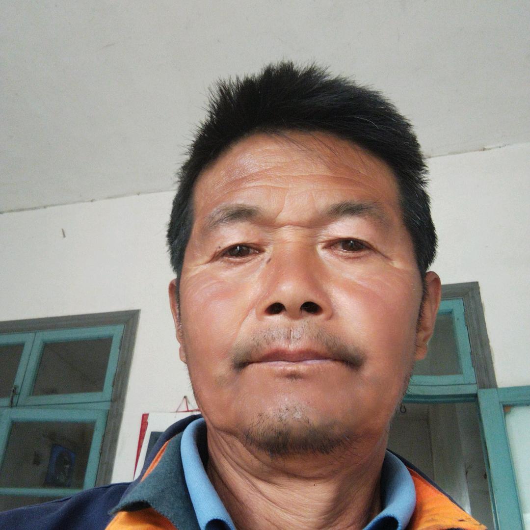 老秦果苗