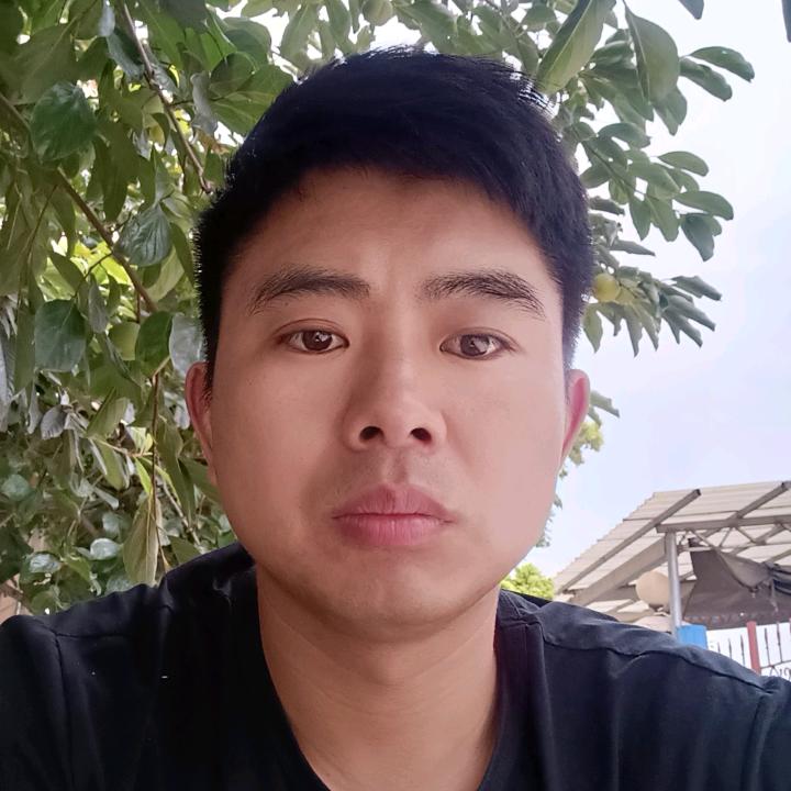 会飞的奥迪