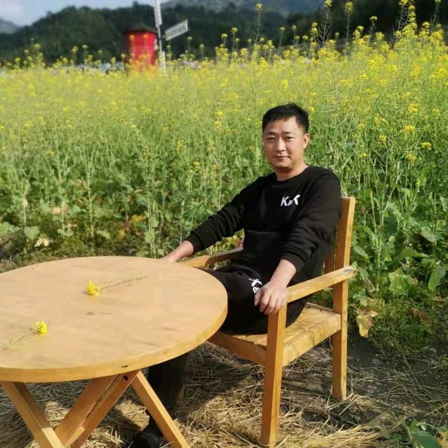 新二代教育咨询