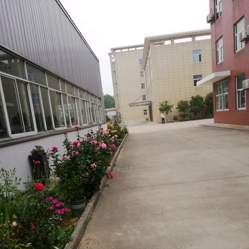 扬州市江都区赵军
