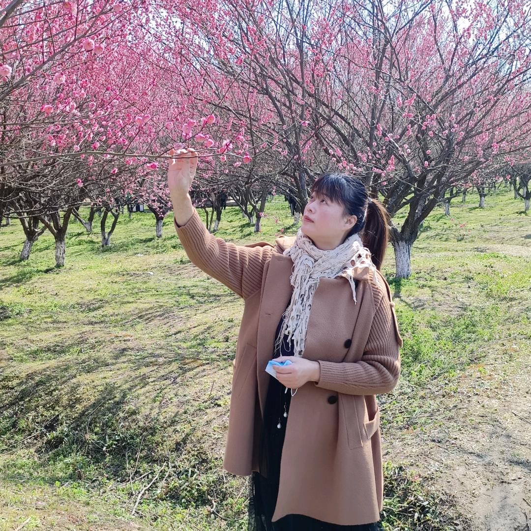 星语《执着》(拒绝连赞)