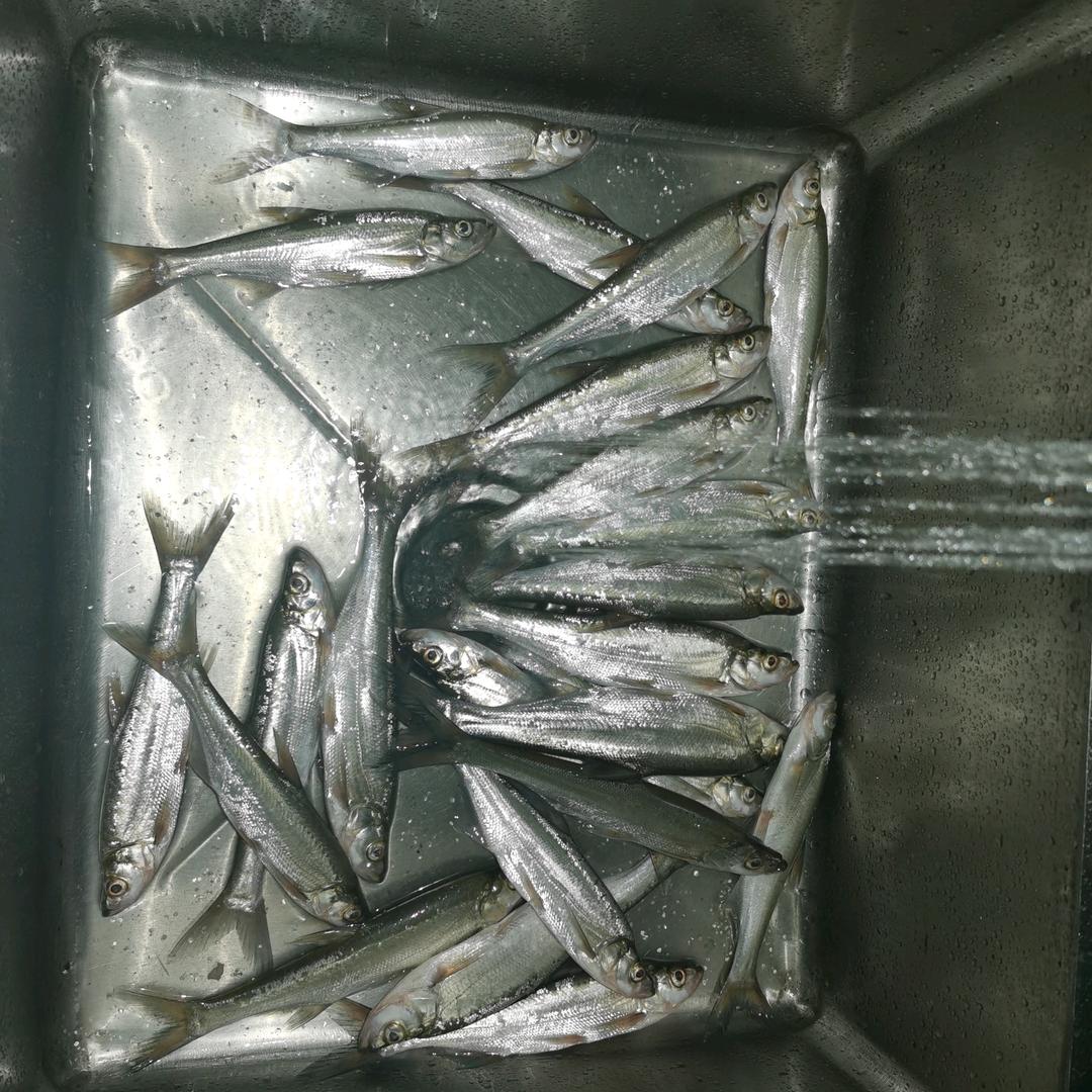 餐条杀手